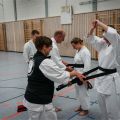 Lehrgang Karate Aux-102