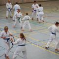 Lehrgang Karate Aux-14