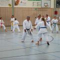 Lehrgang Karate Aux-16