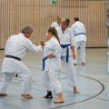 Lehrgang Karate Aux-17