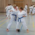 Lehrgang Karate Aux-18