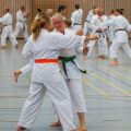 Lehrgang Karate Aux-19