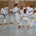 Lehrgang Karate Aux-20