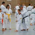 Lehrgang Karate Aux-21(1)