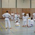Lehrgang Karate Aux-22