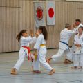 Lehrgang Karate Aux-23(1)