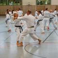 Lehrgang Karate Aux-25