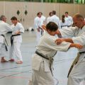 Lehrgang Karate Aux-28