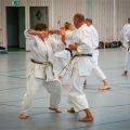 Lehrgang Karate Aux-29