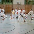 Lehrgang Karate Aux-30
