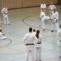 Lehrgang Karate Aux-34