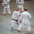 Lehrgang Karate Aux-38