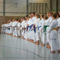 Lehrgang Karate Aux-46