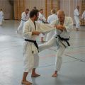 Lehrgang Karate Aux-49