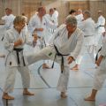 Lehrgang Karate Aux-52