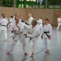 Lehrgang Karate Aux-56