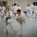 Lehrgang Karate Aux-58