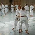 Lehrgang Karate Aux-62