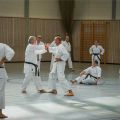 Lehrgang Karate Aux-64