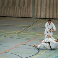 Lehrgang Karate Aux-70