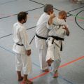 Lehrgang Karate Aux-81