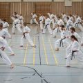 Lehrgang Karate Aux-84