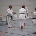 Lehrgang Karate Aux-87