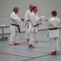 Lehrgang Karate Aux-88