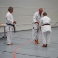 Lehrgang Karate Aux-89