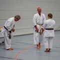 Lehrgang Karate Aux-90