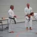 Lehrgang Karate Aux-91