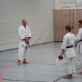 Lehrgang Karate Aux-92