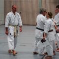 Lehrgang Karate Aux-94