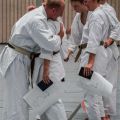 Lehrgang Karate Aux-95